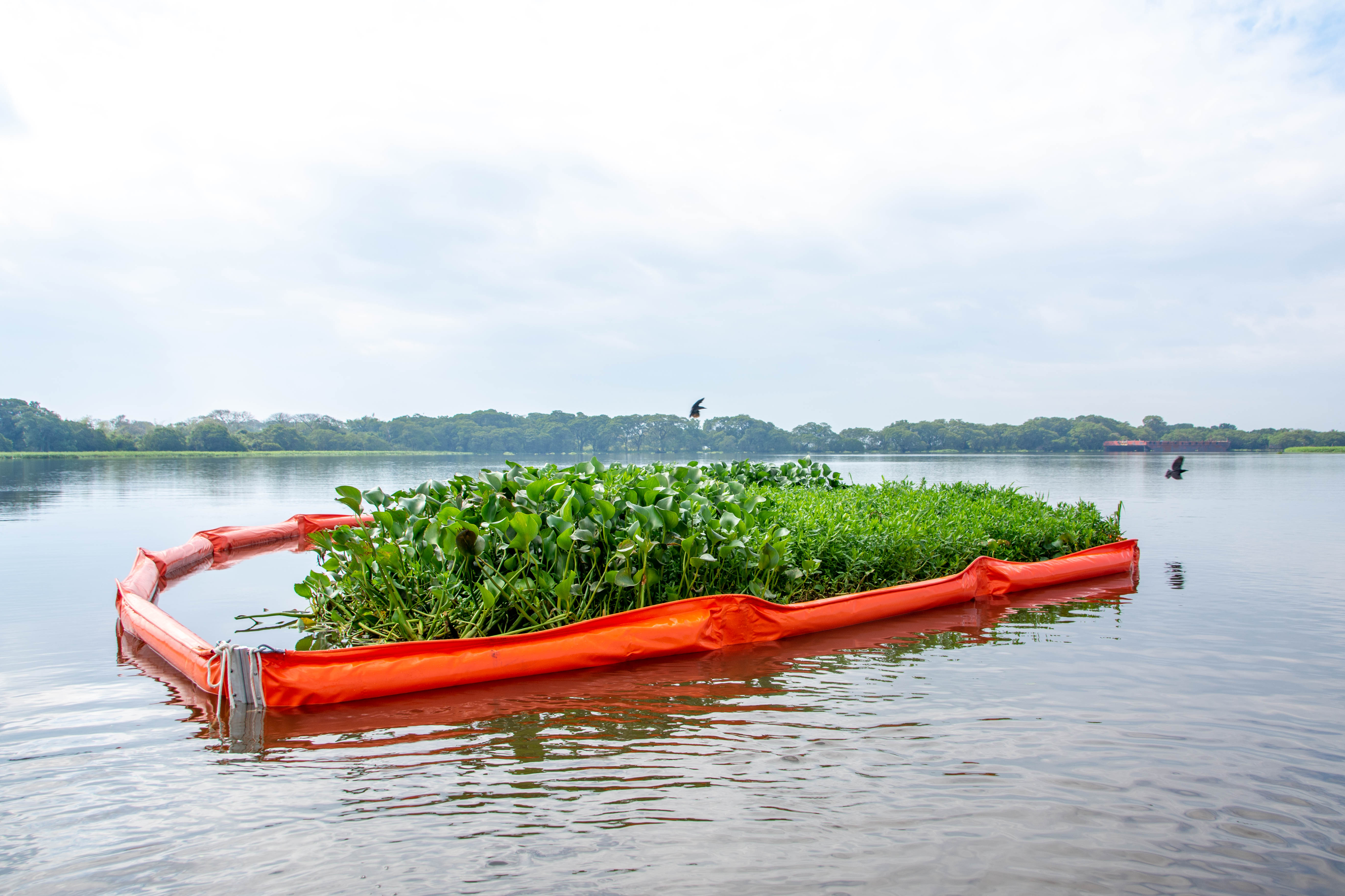 Barrera de contención en laguna