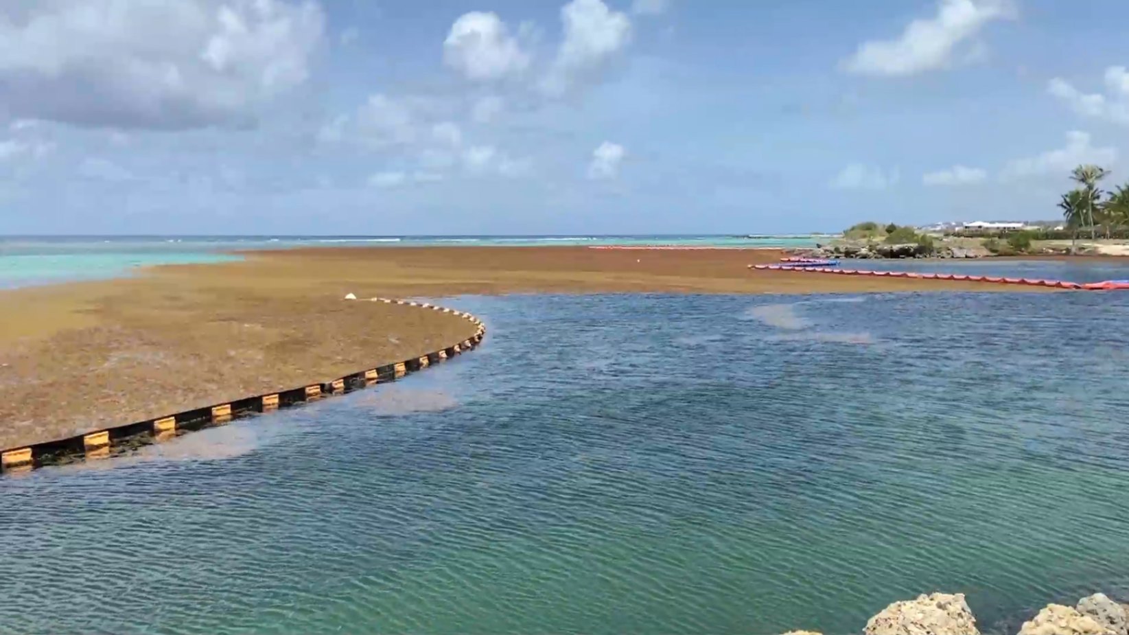 Barrera de contención de sargazo y debris en el mar